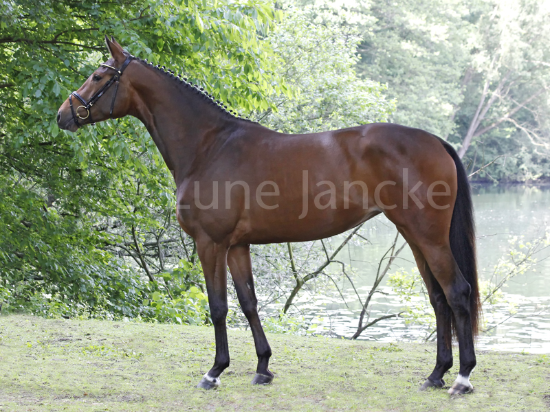 Courinna Foto © Lune Jancke